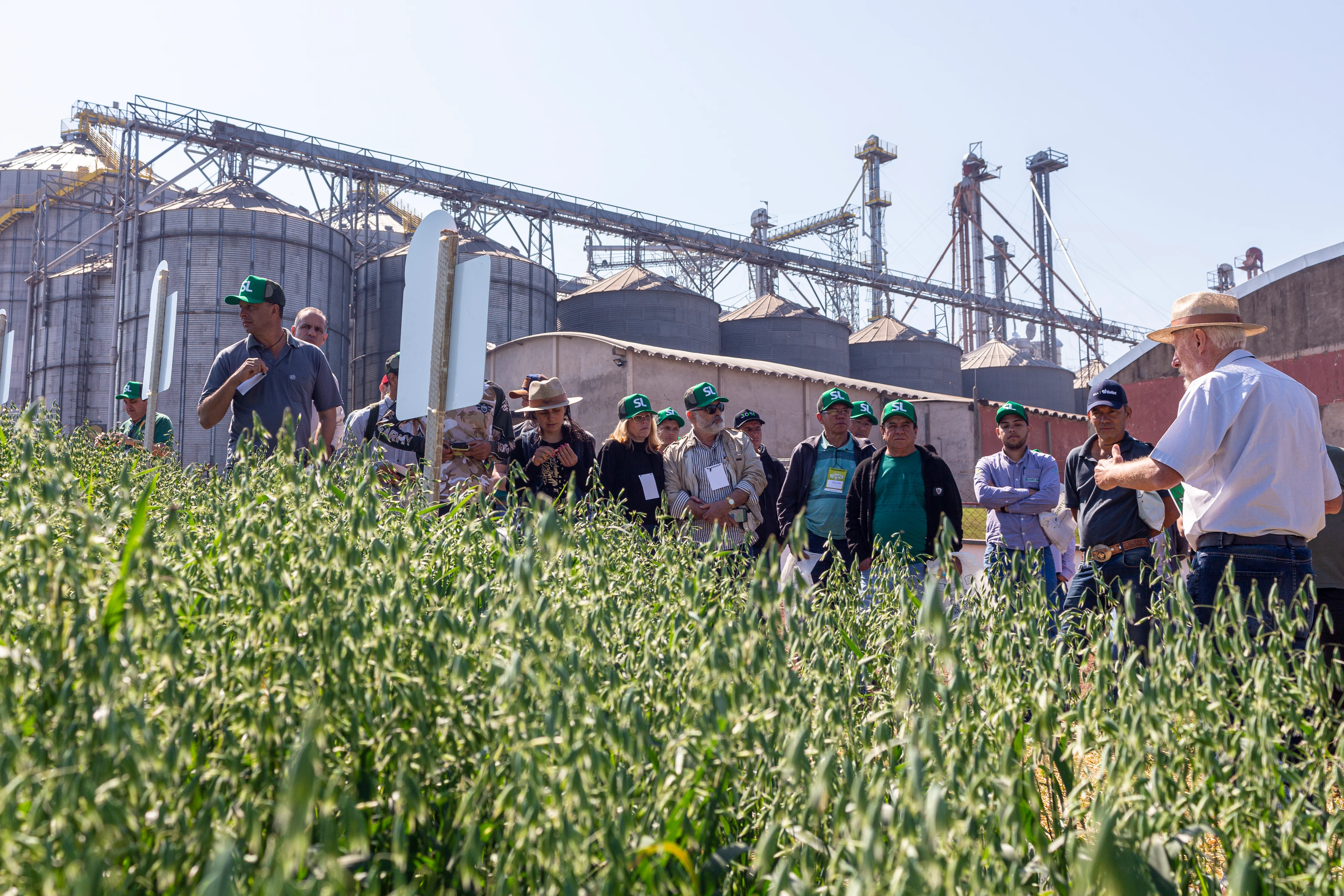 Field Day brings together more than 100 producers of White Oats